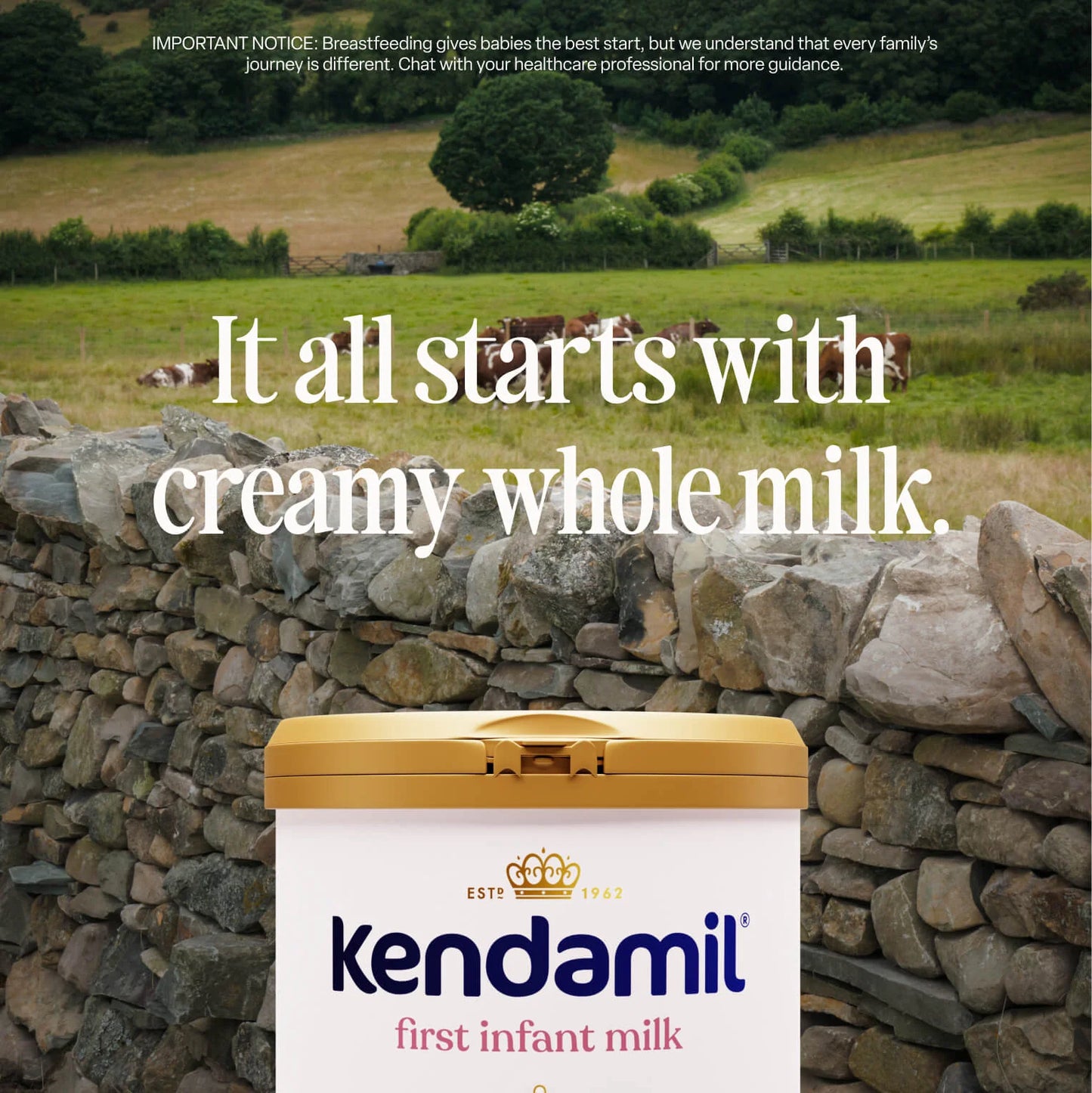 英國直送｜Kendamil Classic First Infant Milk 800g